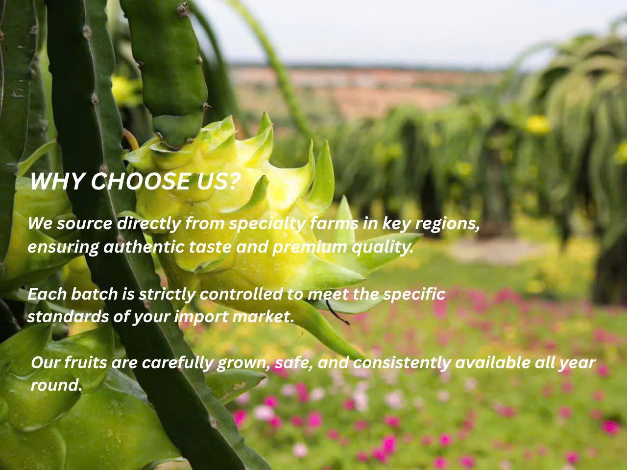 Exporting Nature's Best From Vietnam