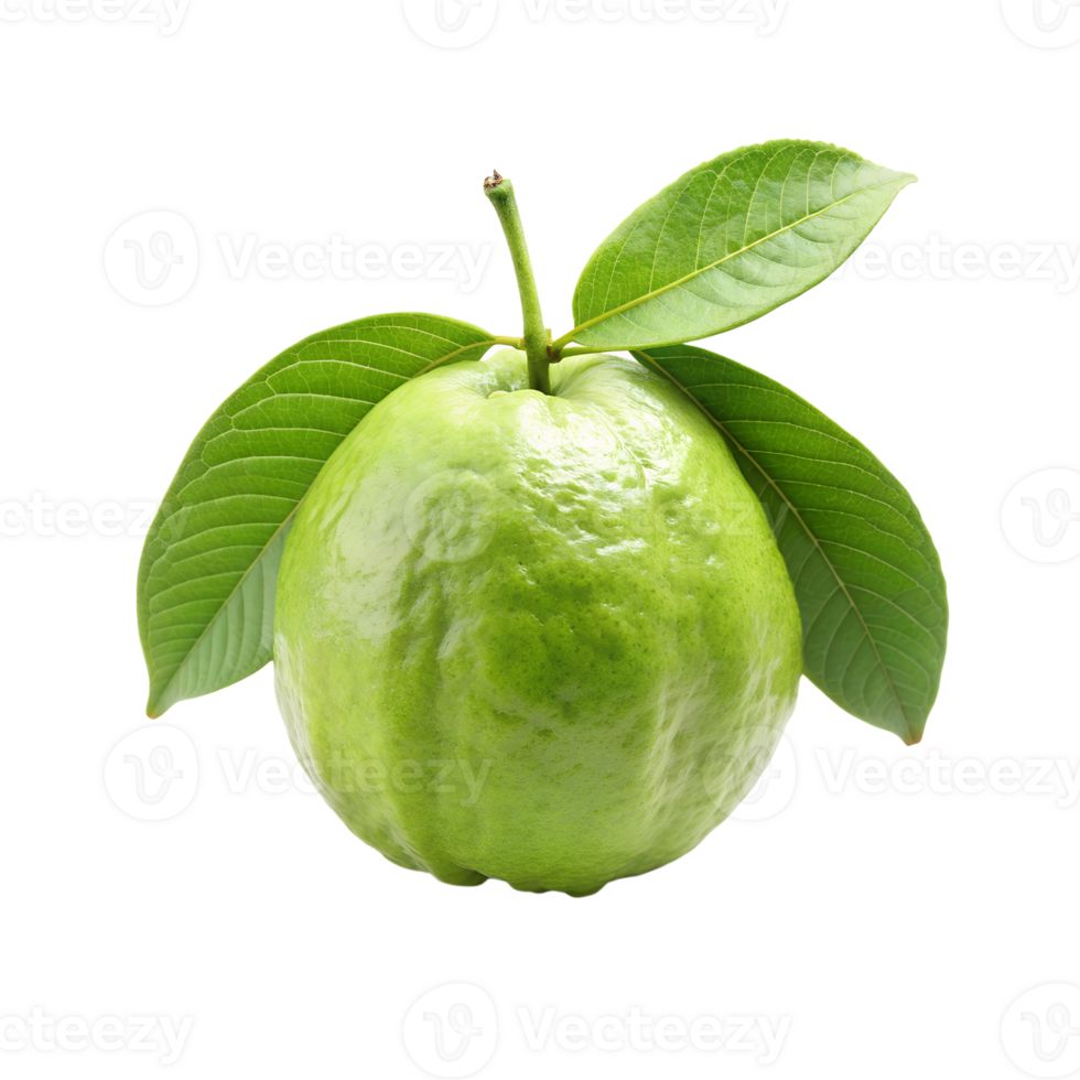 67b7eef075ea7aa3cb14ee1c896ffae7