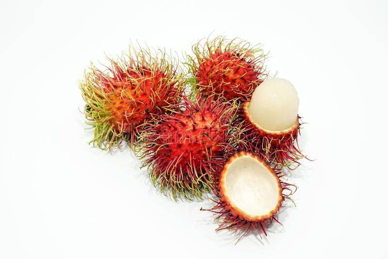 6fd40c7000b558c320950f9fe33ea40b